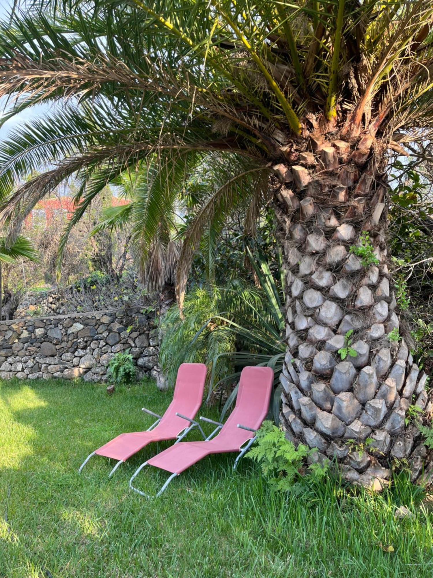 Feriendomizil Finca Tijarafe Mit Beheiztem, Abdeckbarem Pool Ngoại thất bức ảnh