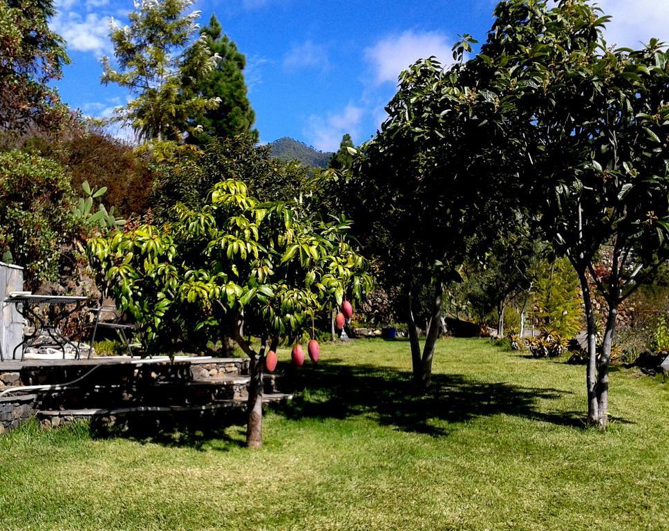 Feriendomizil Finca Tijarafe Mit Beheiztem, Abdeckbarem Pool Phòng bức ảnh